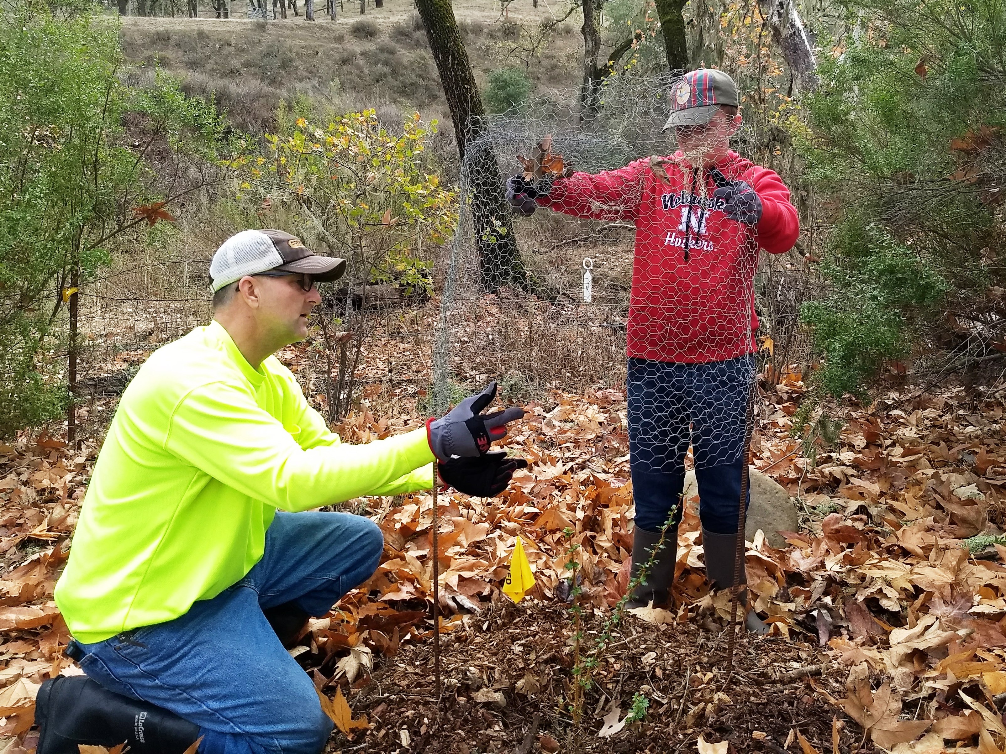 Maintenance on the native plantings!